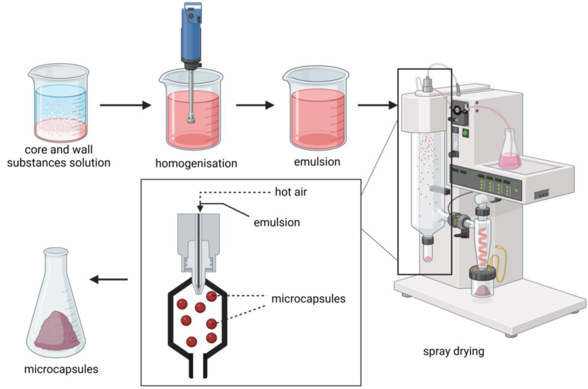 التغليف الدقيق encapsulation: التقنية الخلاقة لتعزيز الاستقرار والفعالية في الصناعات الدوائية والغذائية
