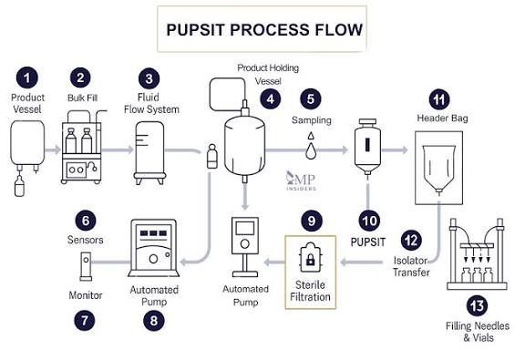 اختبار السلامة ما بعد التعقيم وقبل الاستخدام (PUPSIT)